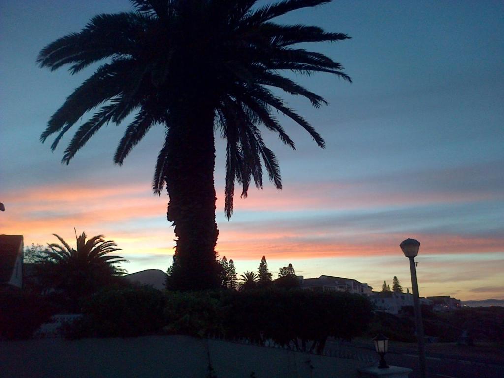 Pelagus Guest House Hermanus Dış mekan fotoğraf