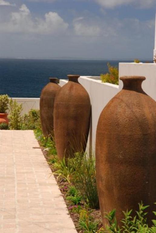 Pelagus Guest House Hermanus Dış mekan fotoğraf